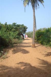 Casa Lenas, Candolim, Goa