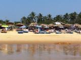 Candolim Beach